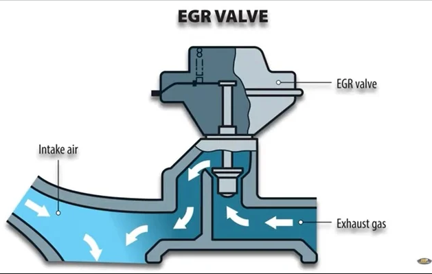 EGR Valve Position Sensor